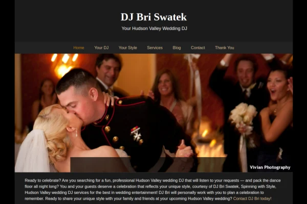 Dj Bri Swatek — website preview