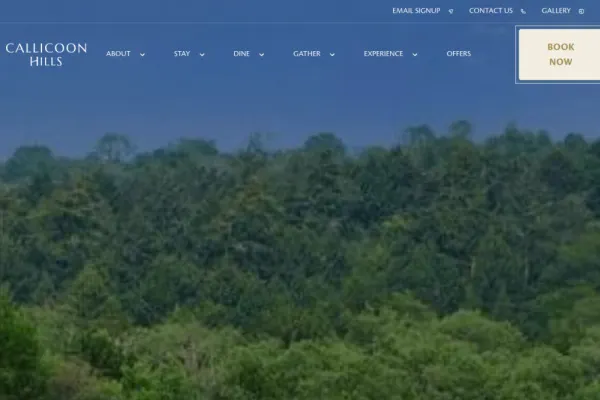 Callicoon Hills — website preview