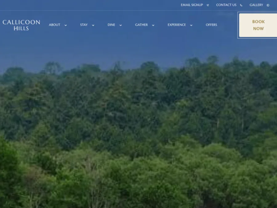 Full homepage screenshot of the Callicoon Hills website