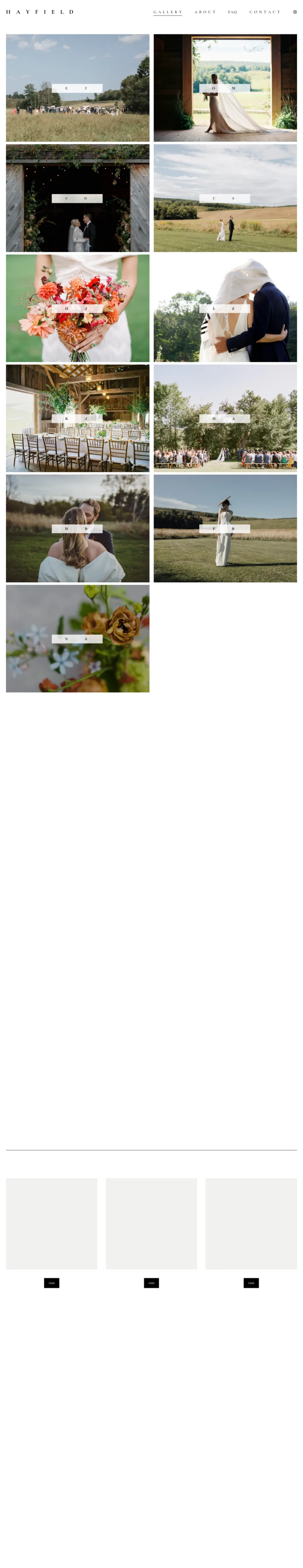 Full homepage screenshot of the Hayfield Catskills website